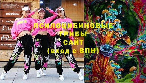 скорость Нестеровская