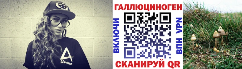 Купить где  Омутнинск  Псилоцибиновые грибы Psilocybine cubensis 